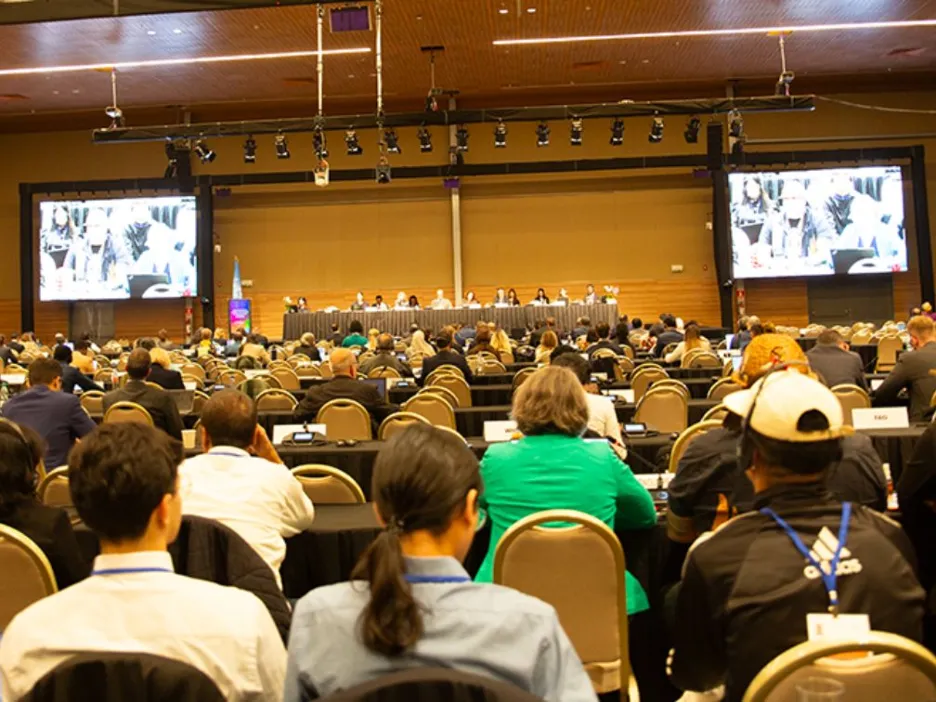 Intergovernmental Meeting closing plenary presentations and discussions