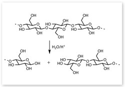 Acid catalysed hydrolysis of cellulose chains