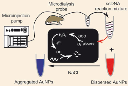 glucose oxidase test glucose oxidase test