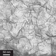 Clay nanosheets within the hydrogel