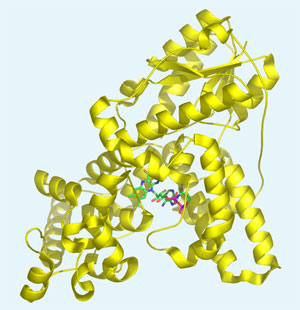  Molecular structure of cryptochrome from the Arabidopsis thaliana plant