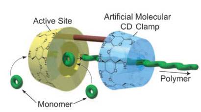 Cyclodextrin synthetic polymerase