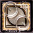 DNA sequencer chip