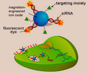 All-in-one nanoparticle