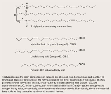 Chemical structures of fats