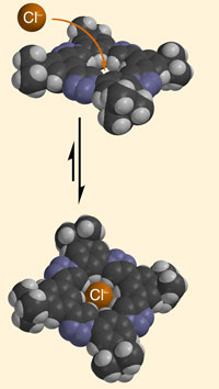 Macrocycle chloride binding