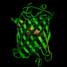 Green fluorescent protein