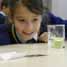 Pupil looking at chemical reaction