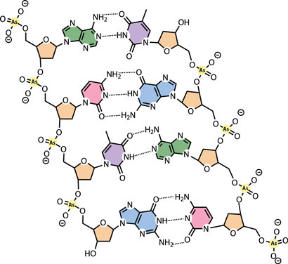 Arsenic Structure