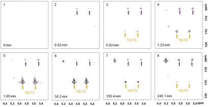 NMR spectra