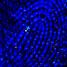 Image of contaminated fingerprint