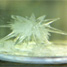 Crystal of enantiopure RNA precursor