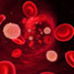 Blood components