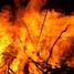 Bonfire