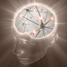 Brain