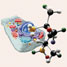 cell and molecules