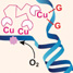 copper complexes