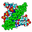 triplex DNA