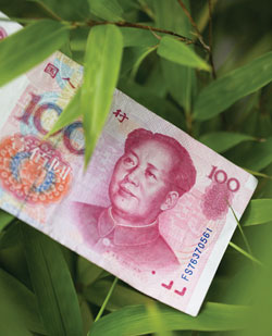 Central bank pushes 'green' lending