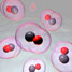 Carbon monoxide-releasing molecule attached to vitamin B12 scaffold