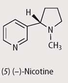 Chemical structure - nicotine