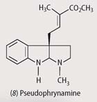 Chemical structure - pseudophrynamine