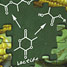 reaction scheme