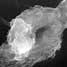 chromatin plates