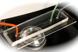 Microfluidic device