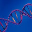 DNA