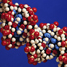 DNA