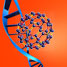 Gene delivery with buckyballs