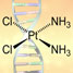 Common cancer therapy, cisplatin