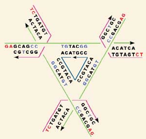 Подобие рунных и научных моделей. - Страница 8 DNA-crys-300_tcm18-162165
