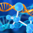 DNA etching
