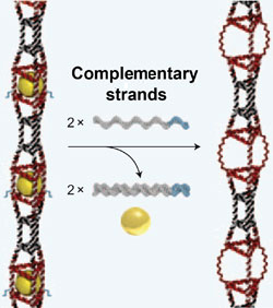 DNA nanotube