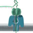 Nanopore sequencing