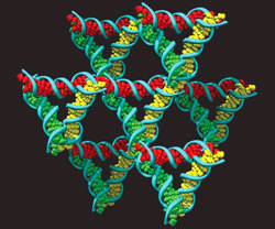 DNA triangles