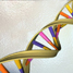 DNA double helix