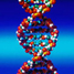 An alternative genetic code