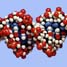 Water retains DNA memory of hidden species