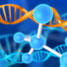 Interactions between drugs and DNA