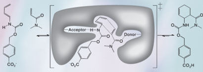 Catalysed Diels-Alder reaction