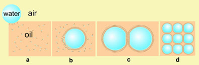 Water droplet network