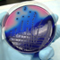 Alternatives sought for animal testing