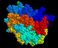 Erythropoietin (EPO)