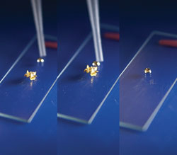 A drop of mercury dissolving some gold
