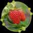 Eating sustainably