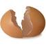 An eggshell