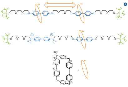 Stoddart's molecular shuttle - chemical structures
